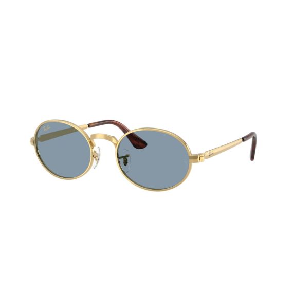 Ray-Ban RB 3931 001/56 Güneş Gözlüğü