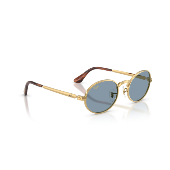 Ray-Ban RB 3931 001/56 Güneş Gözlüğü