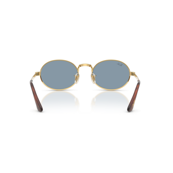 Ray-Ban RB 3931 001/56 Güneş Gözlüğü