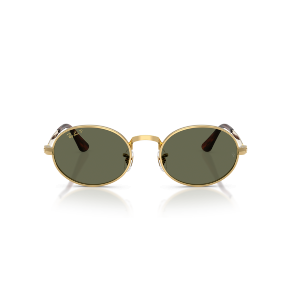 Ray-Ban RB 3931 001/58 Güneş Gözlüğü