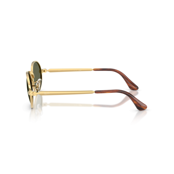 Ray-Ban RB 3931 001/58 Güneş Gözlüğü