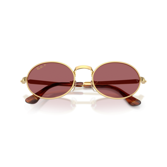 Ray-Ban RB 3931 001/AF Güneş Gözlüğü