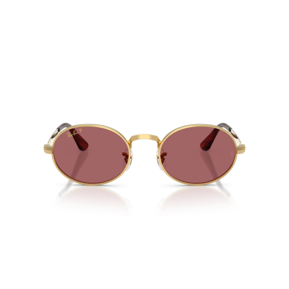 Ray-Ban RB 3931 001/AF Güneş Gözlüğü