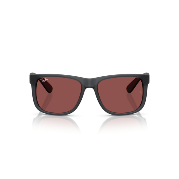 Ray-Ban RB 4165 687375 Güneş Gözlüğü, Çerçeve Şekli: Kare, Ekartman: 55