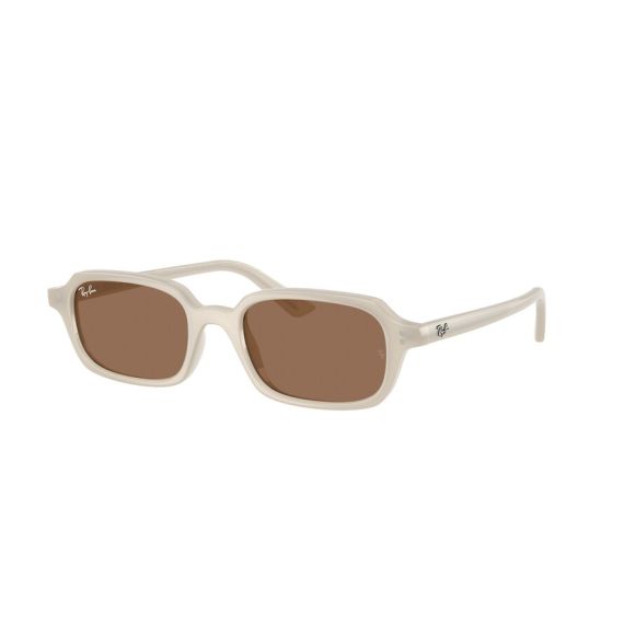 Ray-Ban RB 4455 680873 Güneş Gözlüğü