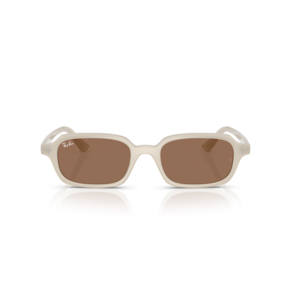 Ray-Ban RB 4455 680873 Güneş Gözlüğü