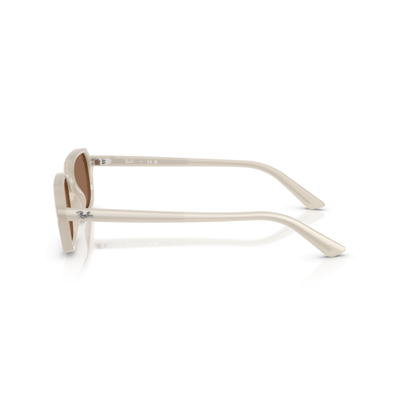 Ray-Ban RB 4455 680873 Güneş Gözlüğü