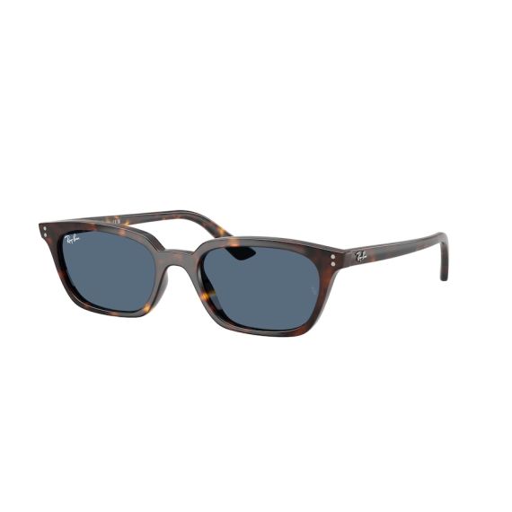 Ray-Ban RB 4456 135980 Güneş Gözlüğü