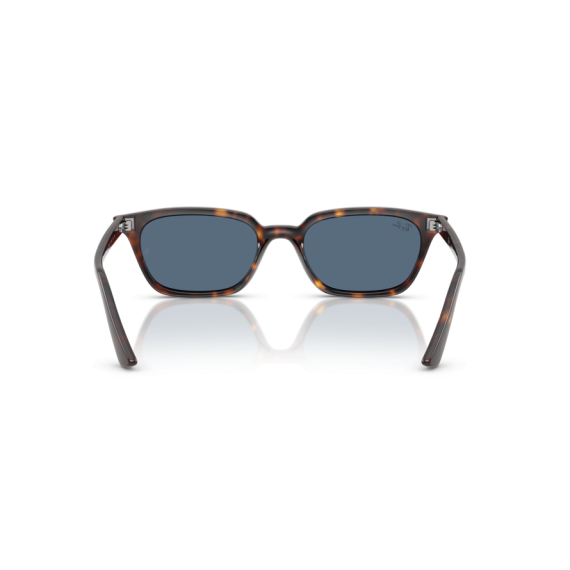 Ray-Ban RB 4456 135980 Güneş Gözlüğü