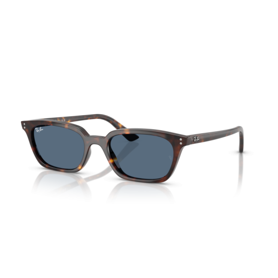 Ray-Ban RB 4456 135980 Güneş Gözlüğü
