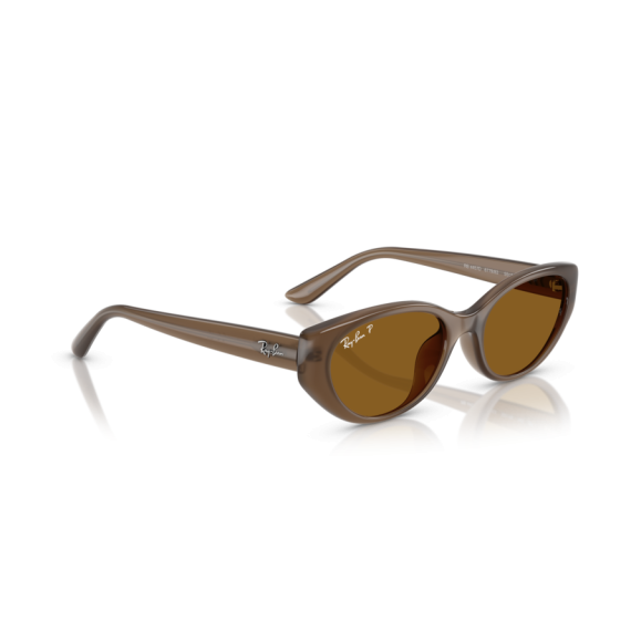 Ray-Ban RB 4457D 677983 Güneş Gözlüğü