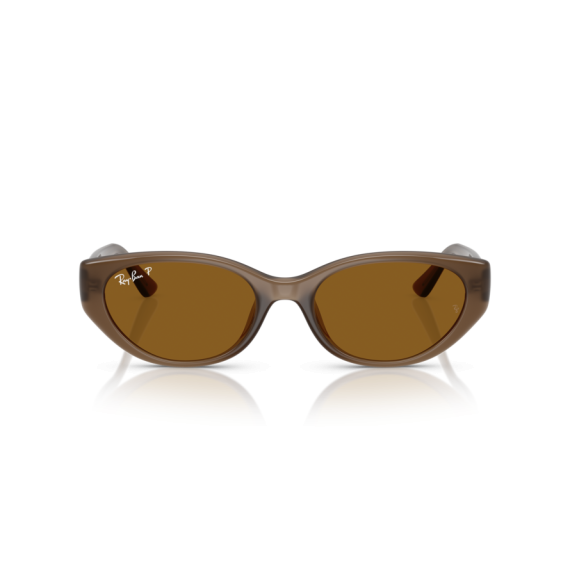 Ray-Ban RB 4457D 677983 Güneş Gözlüğü