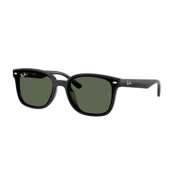 Ray-Ban RB 4461D 601/71 Güneş Gözlüğü