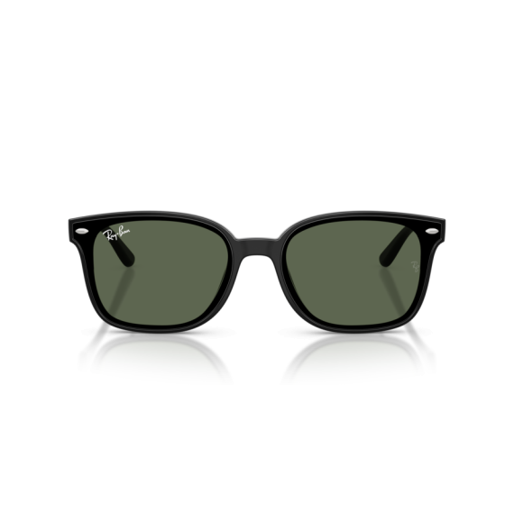 Ray-Ban RB 4461D 601/71 Güneş Gözlüğü
