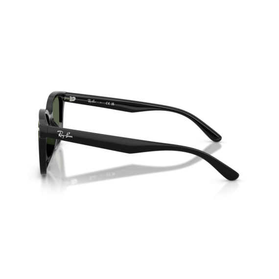 Ray-Ban RB 4461D 601/71 Güneş Gözlüğü