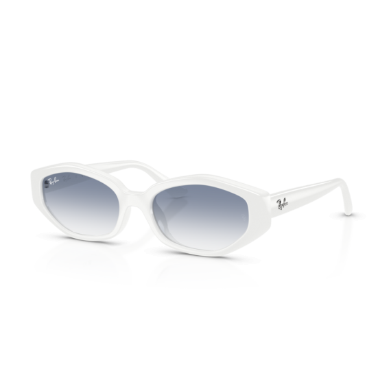 Ray-Ban RB 4473D 677219 Güneş Gözlüğü