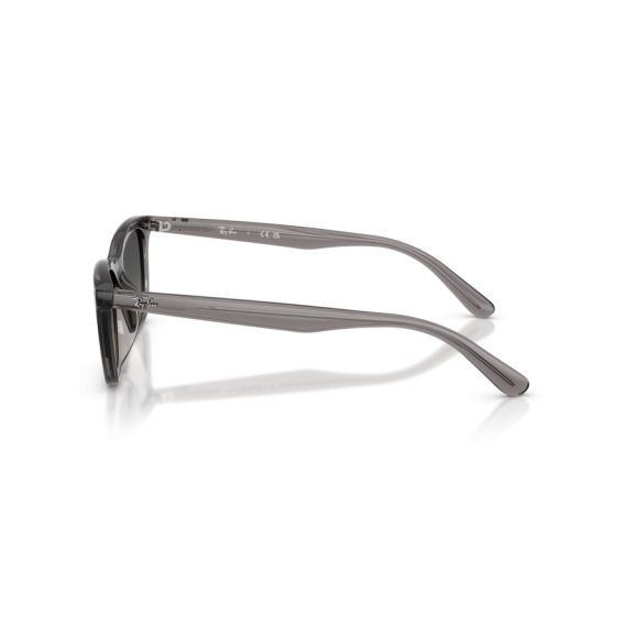 Ray-Ban RB 4474D 667511 Güneş Gözlüğü