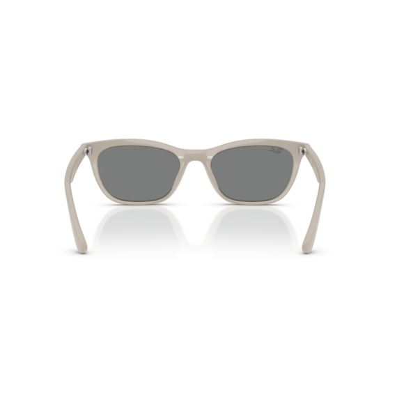 Ray-Ban RB 4474D 685887 Güneş Gözlüğü