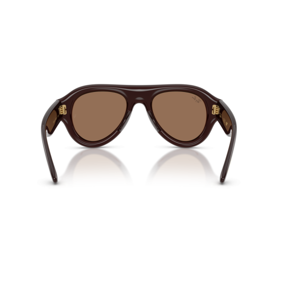 Ray-Ban RB 4925 689673 Güneş Gözlüğü, Çerçeve Şekli: Damla, Ekartman: 50