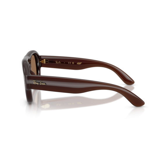 Ray-Ban RB 4925 689673 Güneş Gözlüğü, Çerçeve Şekli: Damla, Ekartman: 52