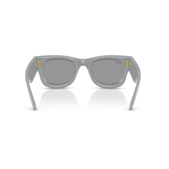 Ray-Ban RB 4940 6876/1 Güneş Gözlüğü, Çerçeve Şekli: Kare, Ekartman: 47
