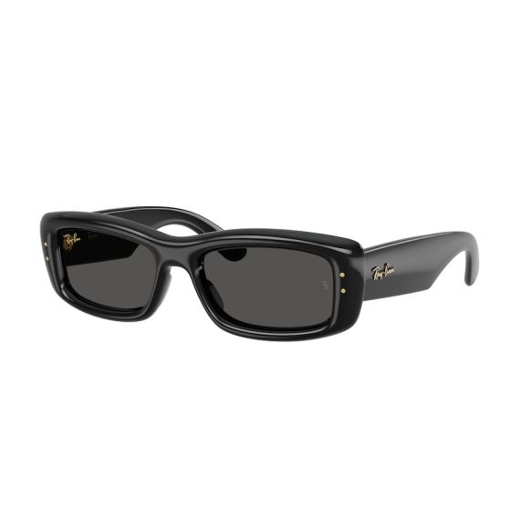 Ray-Ban RB 4944 601/87 Güneş Gözlüğü