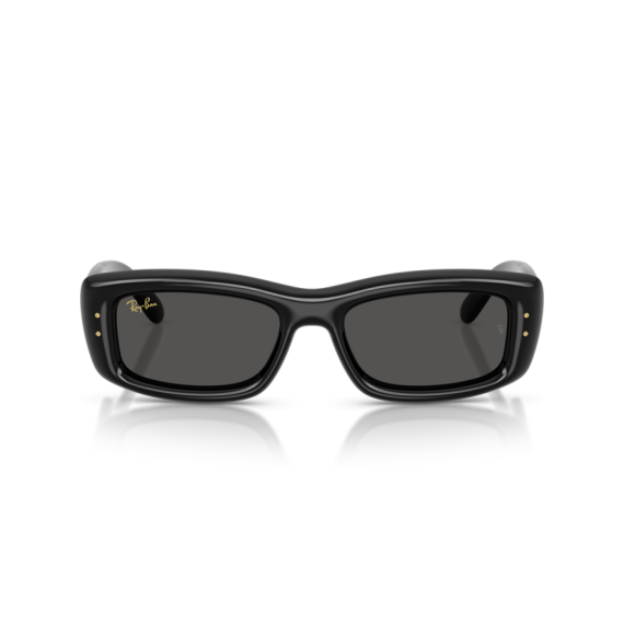 Ray-Ban RB 4944 601/87 Güneş Gözlüğü