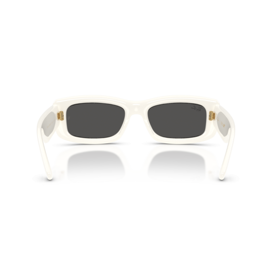 Ray-Ban RB 4944 687487 Güneş Gözlüğü