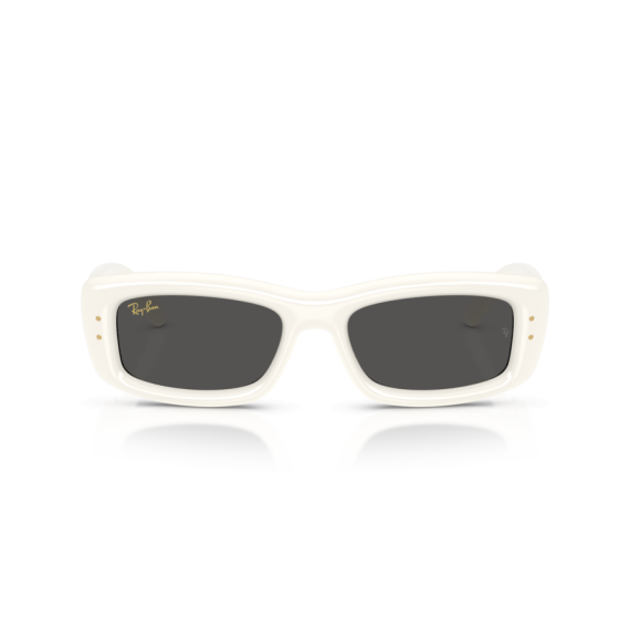 Ray-Ban RB 4944 687487 Güneş Gözlüğü