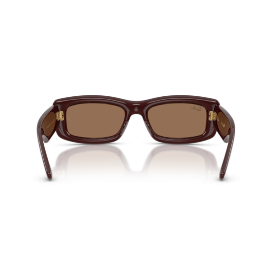 Ray-Ban RB 4944 687773 Güneş Gözlüğü