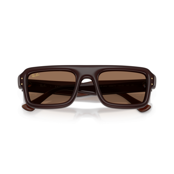 Ray-Ban RB 4954 689673 Güneş Gözlüğü, Çerçeve Şekli: Damla, Ekartman: 52