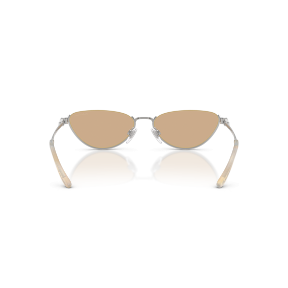 Ralph Lauren RL 7095 9001/8 Güneş Gözlüğü