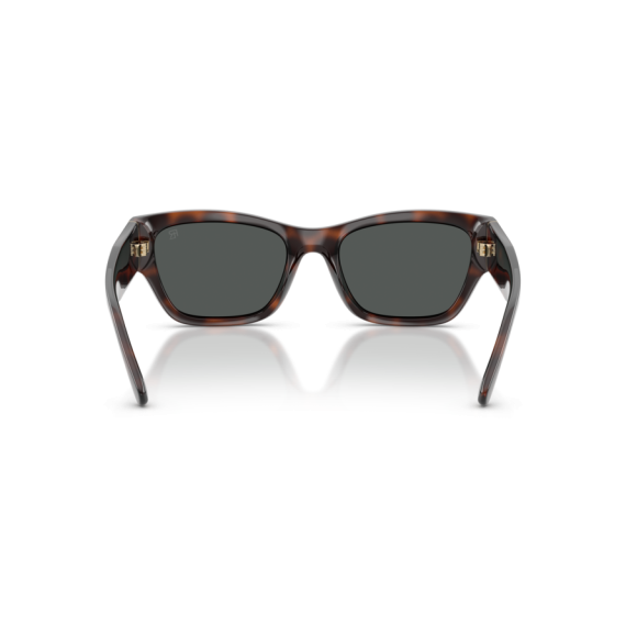 Ralph Lauren RL 8240U 624187 Güneş Gözlüğü