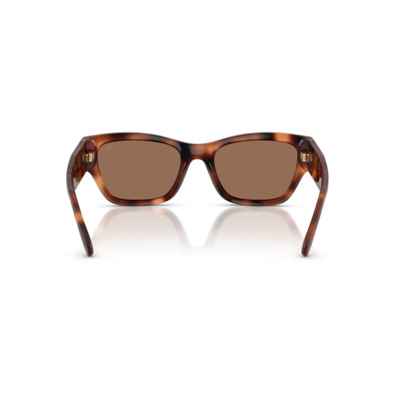 Ralph Lauren RL 8240U 635173 Güneş Gözlüğü