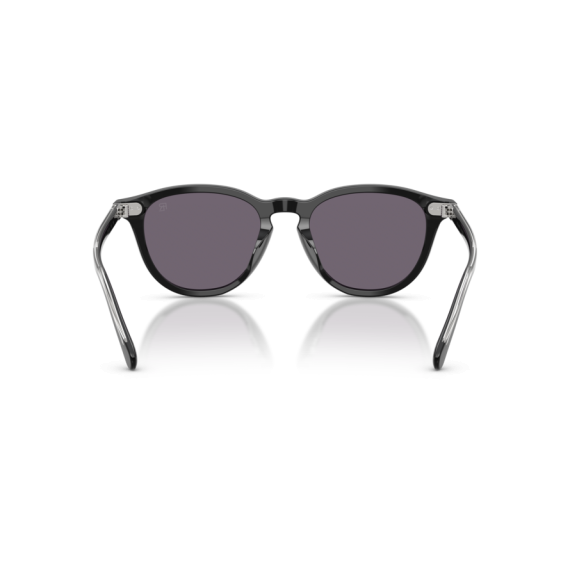 Ralph Lauren RL 8241U 50011A Güneş Gözlüğü