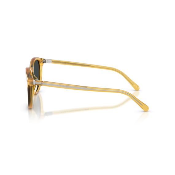 Ralph Lauren RL 8241U 50053R Güneş Gözlüğü