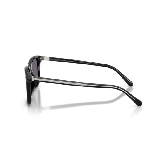 Ralph Lauren RL 8242U 50011A Güneş Gözlüğü