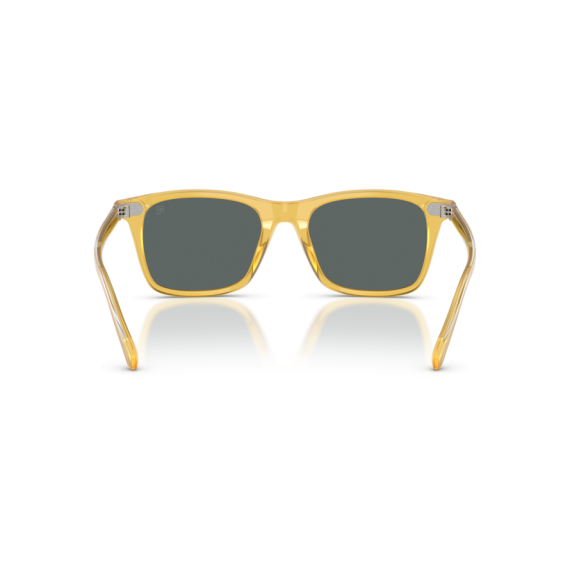 Ralph Lauren RL 8242U 50053R Güneş Gözlüğü