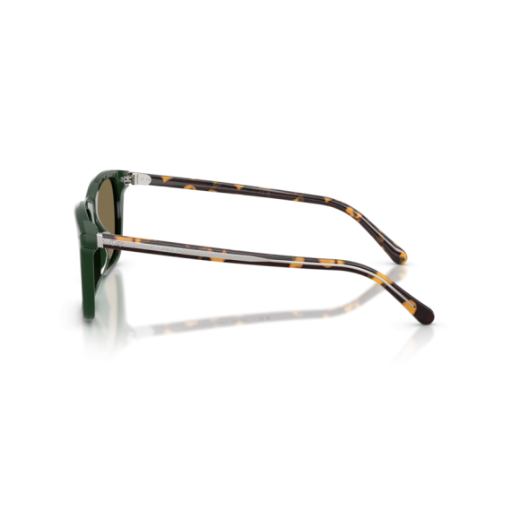 Ralph Lauren RL 8242U 614073 Güneş Gözlüğü