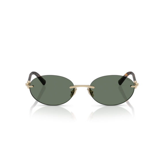 Tiffany TF 3104D 623882 Güneş Gözlüğü