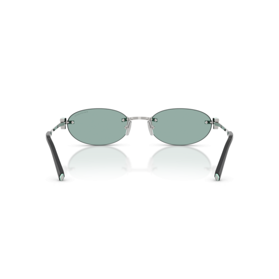Tiffany TF 3119D 600165 Güneş Gözlüğü