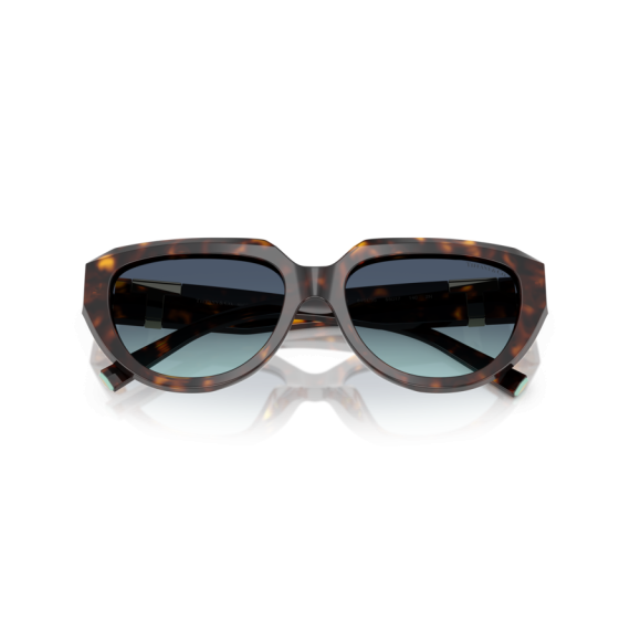 Tiffany TF 4238U 84649S Güneş Gözlüğü