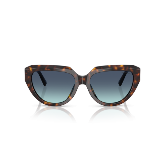 Tiffany TF 4238U 84649S Güneş Gözlüğü