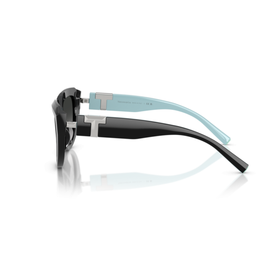 Tiffany TF 4238U 84653C Güneş Gözlüğü