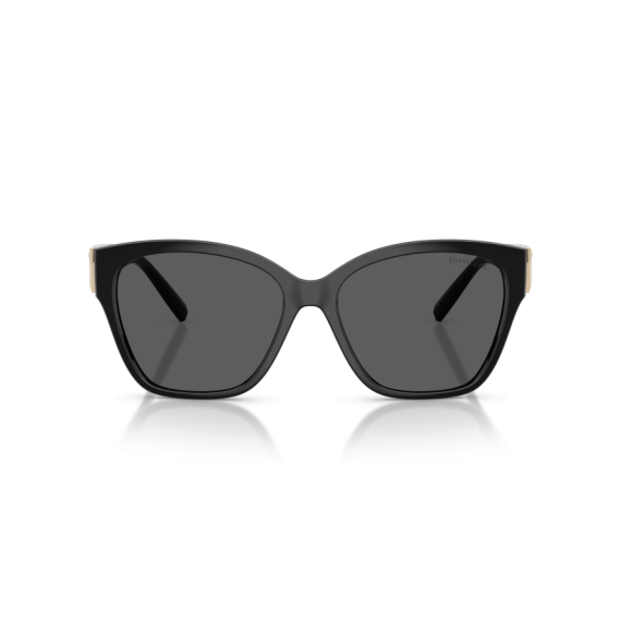 Tiffany TF 4254U 8001S4 Güneş Gözlüğü