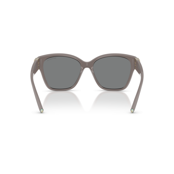 Tiffany TF 4254U 840187 Güneş Gözlüğü