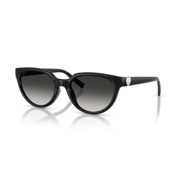 Tiffany TF 4256D 80013C Güneş Gözlüğü