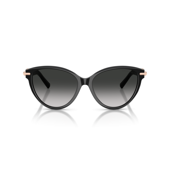 Tiffany TF 4261 80013C Güneş Gözlüğü