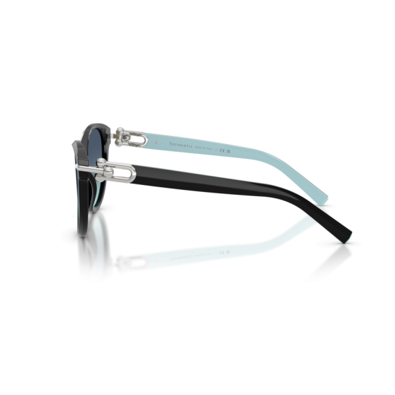 Tiffany TF 4261 80559S Güneş Gözlüğü