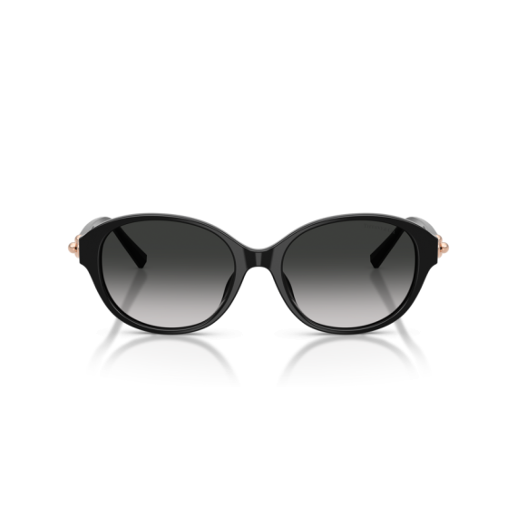 Tiffany TF 4263D 80013C Güneş Gözlüğü